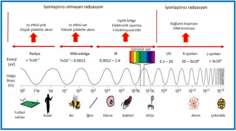 İYONLAŞTIRICI OLMAYAN RADYASYONUN  TERMAL OLMAYAN SAĞLIK ETKİLERİ