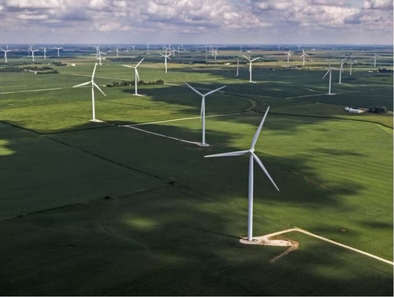 Rüzgar çiftlikleri neden bu kadar çok yanlış bilgi ve komplo teorisine konu oluyor?