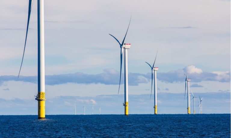 Bilim insanına sorun: Fosil yakıt şirketleri açık deniz rüzgar enerjisinden neden kendini bu kadar tehdit altında hissediyor?